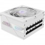 Блок живлення Gigabyte GP-AE1000PM PG5 ICE 1000W