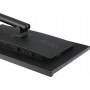 Монітор Asus 31.5" ProArt PA328QV (90LM00X0-B02370) IPS Black