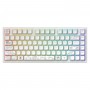 Клавіатура Dark Project ALU81 Terra Nova White (DPKB_NOVA_81_ANSI_WHITE_UA)