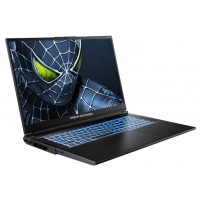Ноутбук Dream Machines RG5050-17 (RG5050-17UA35) Black