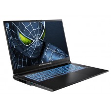 Ноутбук Dream Machines RG5050-17 (RG5050-17UA35) Black