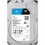 Накопичувач HDD SATA 1.0TB Seagate SkyHawk 5400rpm 256MB (ST1000VX013)